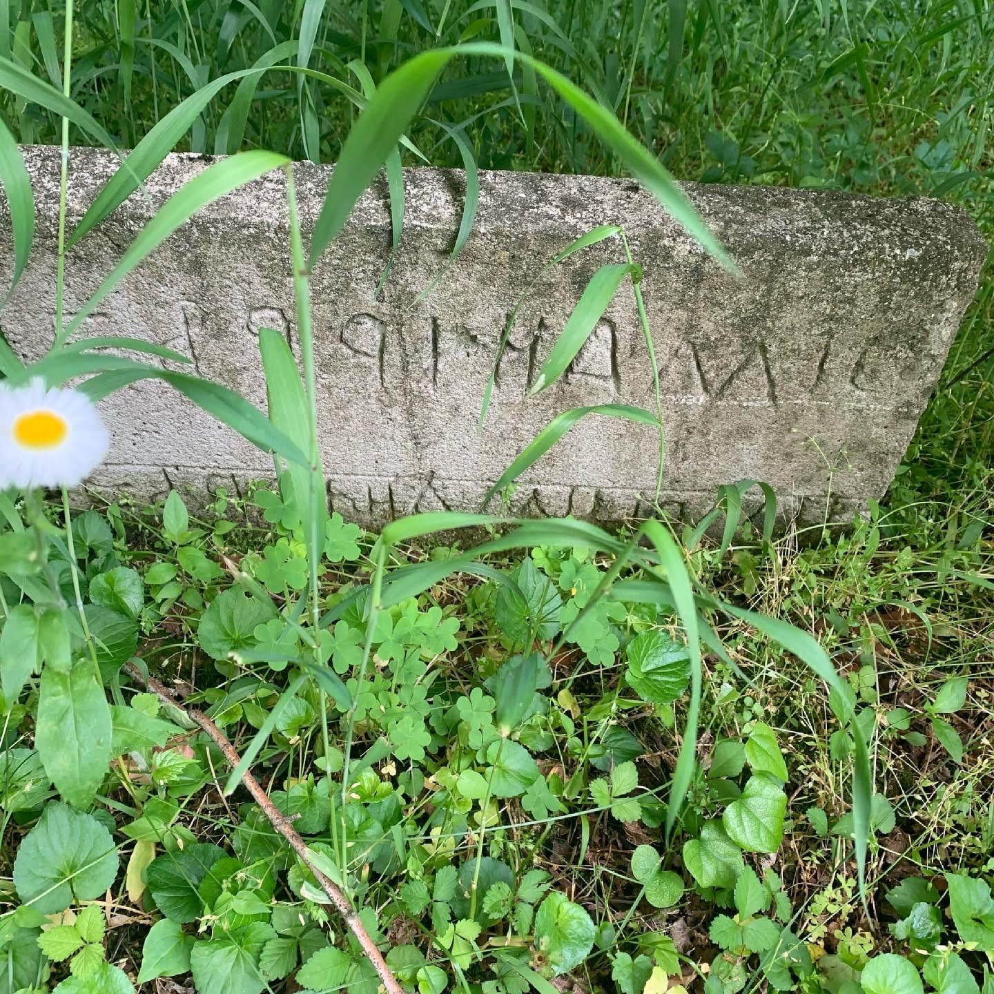 Is Bryant Town Family Cemetery the Oldest Black Cemetery in Nashville?